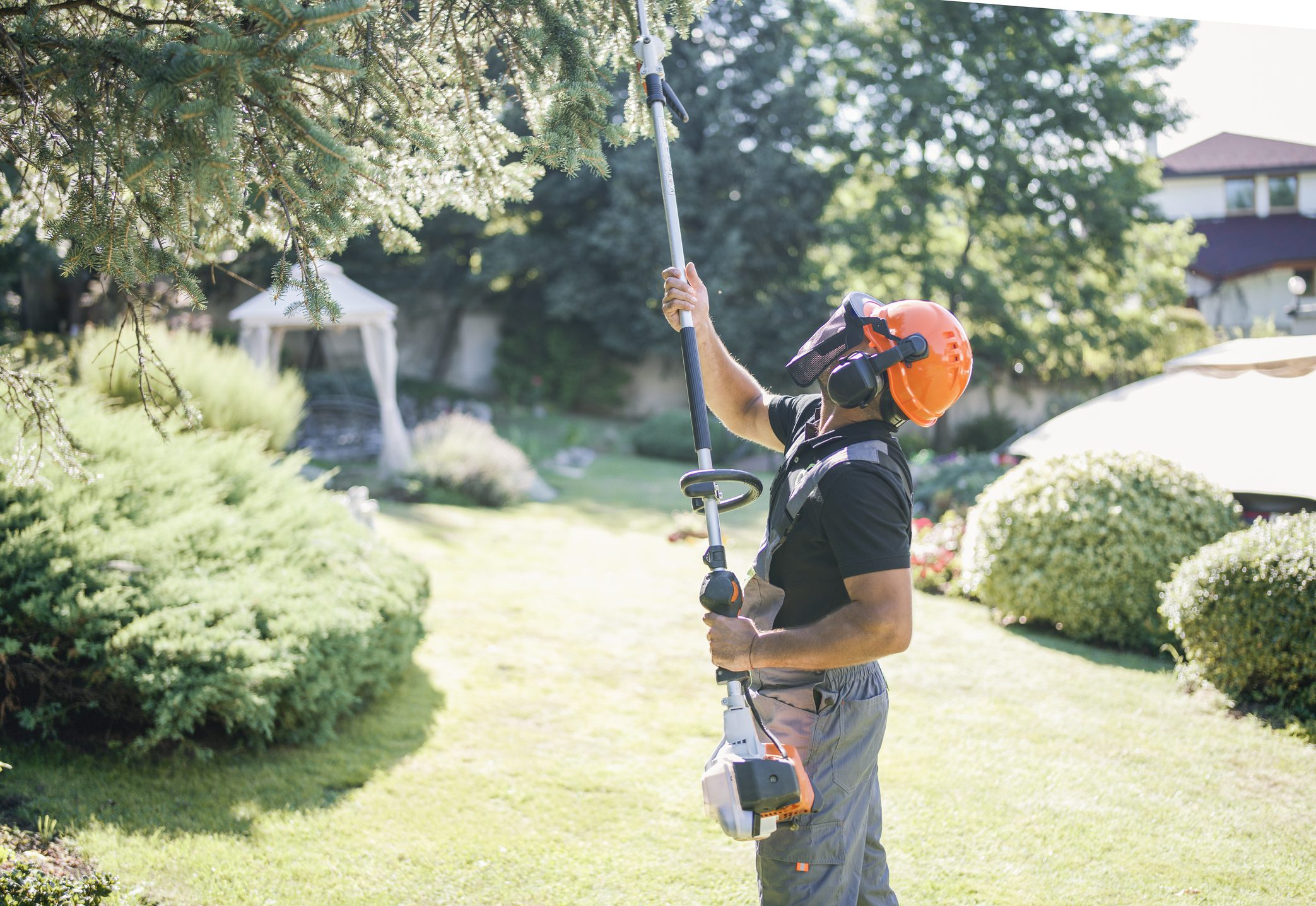 Gardener trimming tree branches with pole saw.
